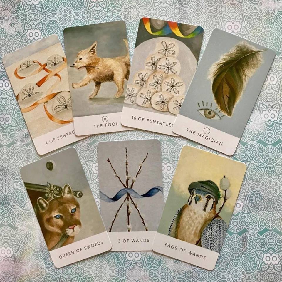 Bộ bài White Sage Tarot Tin