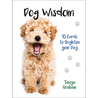 Bộ bài dog wisdom cards - bài gốc authentic chính hãng 100%