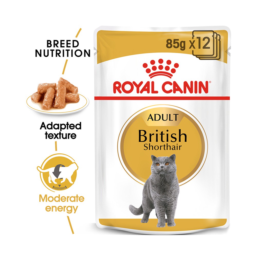 Pate Cho Mèo Anh Lông Ngắn Royal Canin British Shorthair 85g  protein và l-Carnitine hỗ trợ sức khỏe