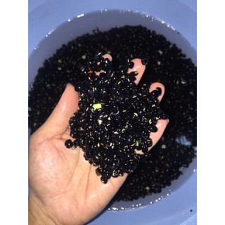 Đậu đen xanh lòng rang