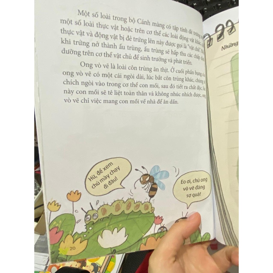 Sách - Khoa học thú vị : Cuộc phiêu lưu của bọ rùa : Các loài côn trùng đa dạng ( Minh Long )