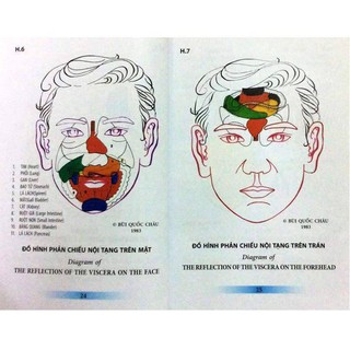 Dụng Cụ Diện Chẩn Con bọ lớn