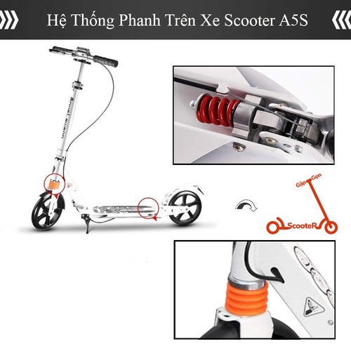 [CHÍNH HÃNG] Xe trượt Scooter Người Lớn AnneLawSon A5S - 2 Màu