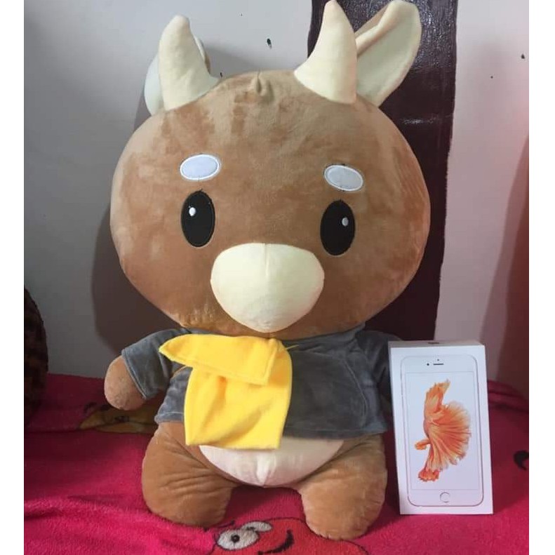 GẤU BÔNG BÒ CHĂM CHỈ 65CM ẢNH THẬT