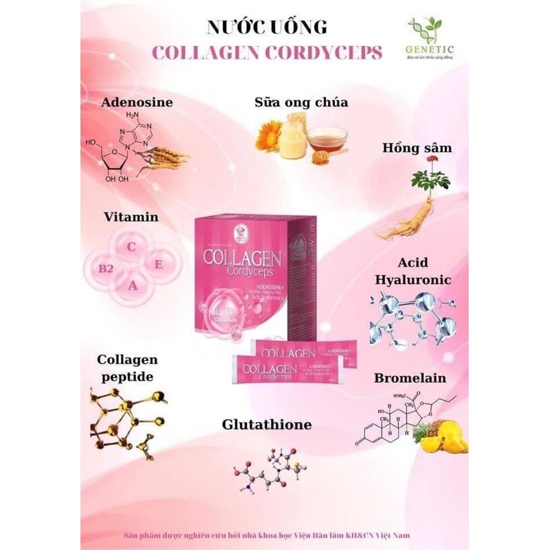 Nước uống trắng da mờ nám Collagen Cordyceps viện Hàn Lâm KHCNVN | Thế Giới Skin Care