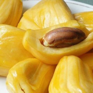 Cây giống mít changgai,mít thái siêu sớm