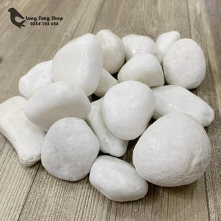 [ Nhiều size ] Đá sỏi trắng trang trí ( chọn size )