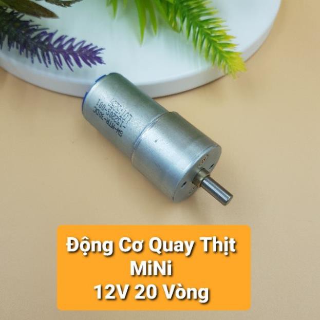 Động Cơ Quay Thịt Xiên MiNi 12V 20 Vòng, Động Cơ GIảm Tốc 12V
