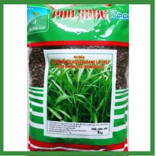 1kg hạt giống rau muống lá tre Phú Nông