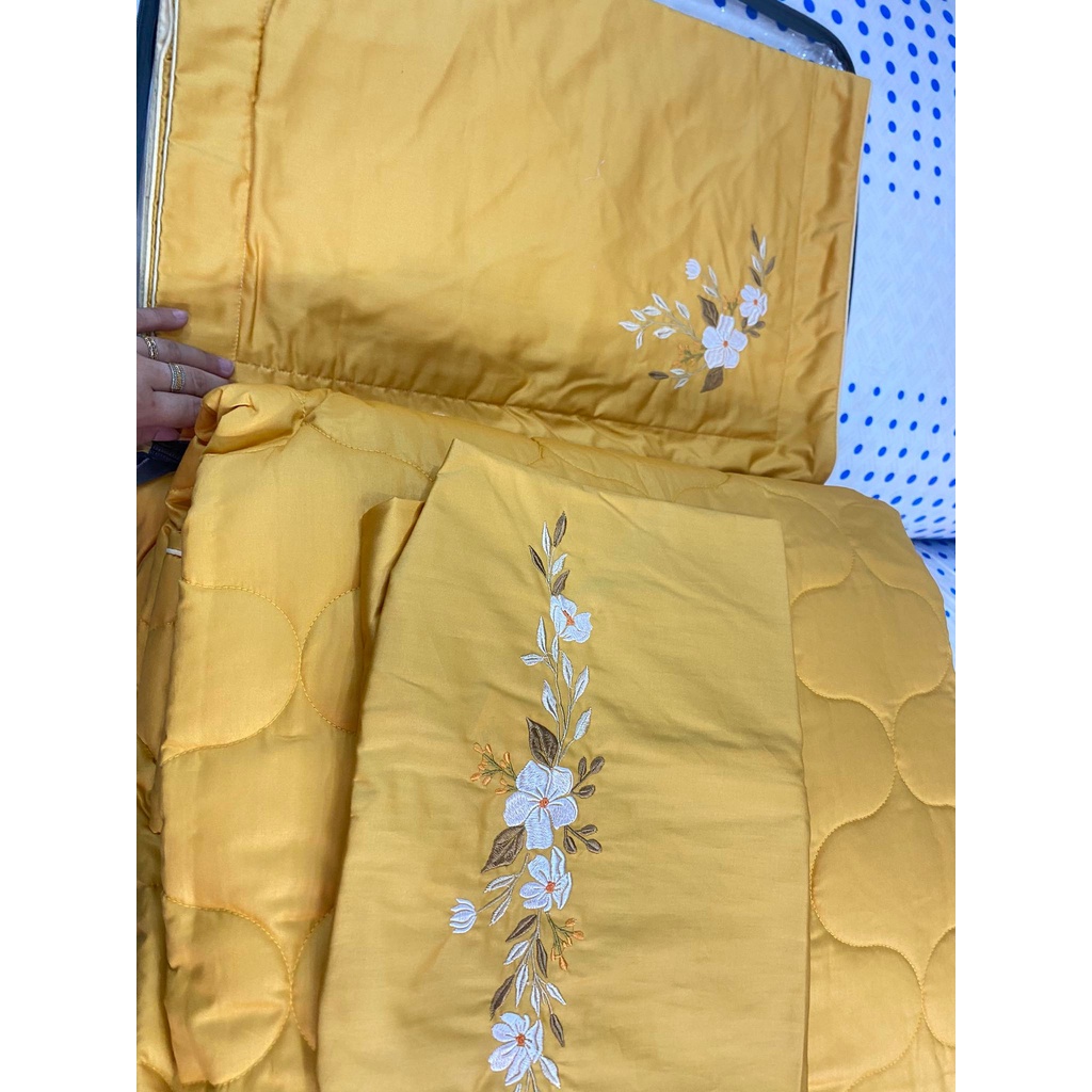 Bộ Drap chun chần EVERON MDSC100