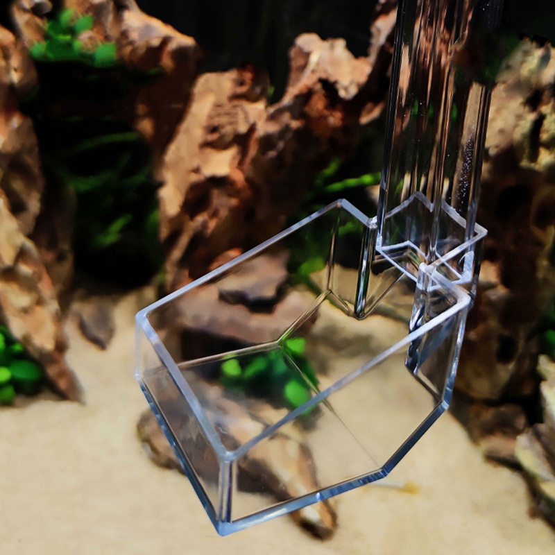 Khay Đựng Thức Ăn Bằng Acrylic Tiện Dụng Cho Bể Cá