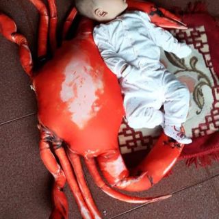 Gối ôm 3d con cua tôm hùm 1m