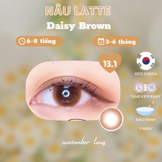 <Cấp ẩm > Kính áp tròng DAISY BROWN màu nâu gỗ tự nhiên