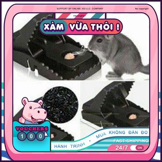 Bẫy chuột cống