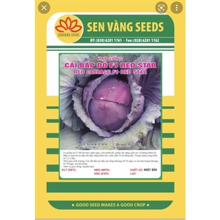 Hạt giống bắp cải đỏ f1