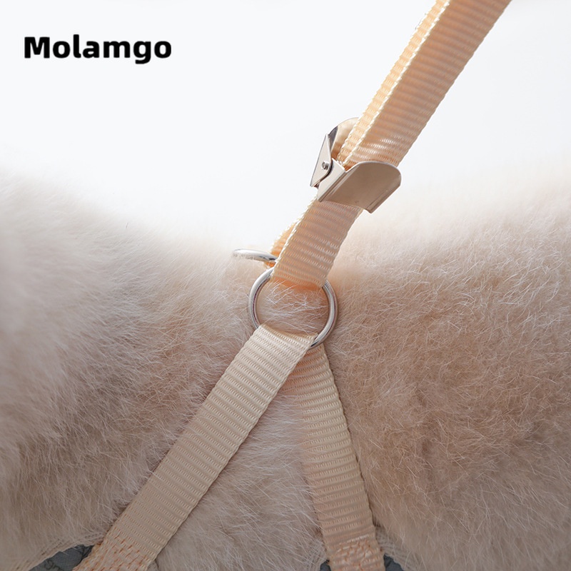 Áo Vest Đính Nơ Chuyên Dùng Dắt Thú Cưng Đi Dạo