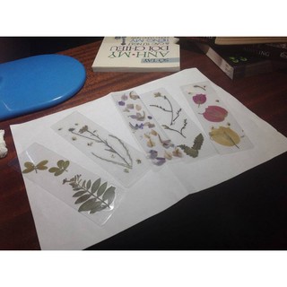 Bookmark Hoa Khô Ép (#suongman)