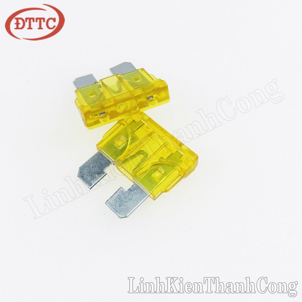 5 Chiếc Cầu chì oto 20A