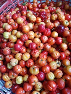 Mứt sơ ri Gò Công