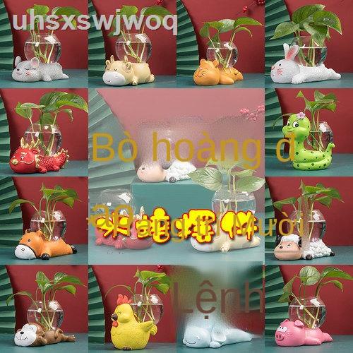 Thủy canh màu xanh lá cây thì là chậu hoa đồ dùng bình tinh trong suốt cắm sáng tạo phim hoạt hình dễ thương cung