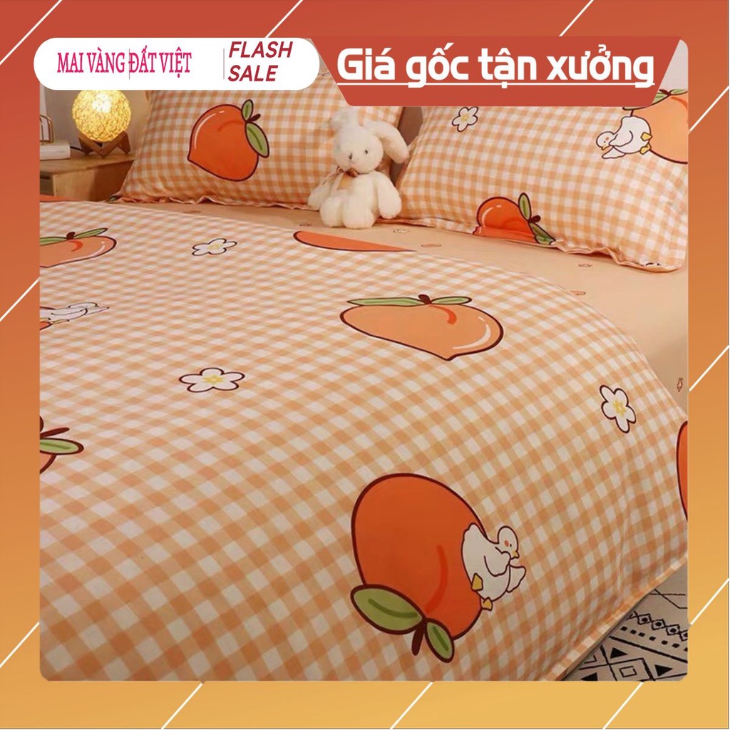 Bộ Ga Gối poly 1mx2m 1m2x2m chọn mẫu ngay trên bài-đào cam