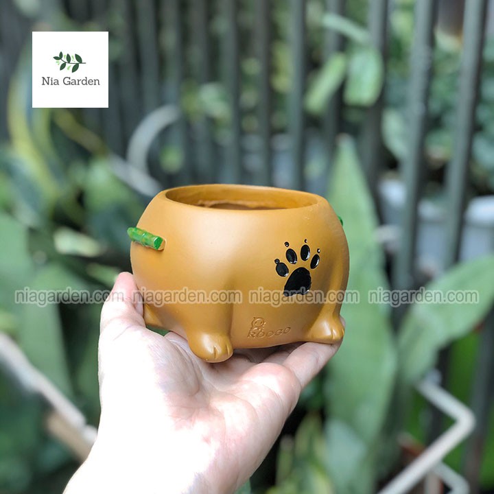 Chậu thú nhựa lộn ngược trồng sen đá xương rồng mini gấu heo chó Nia Garden N4