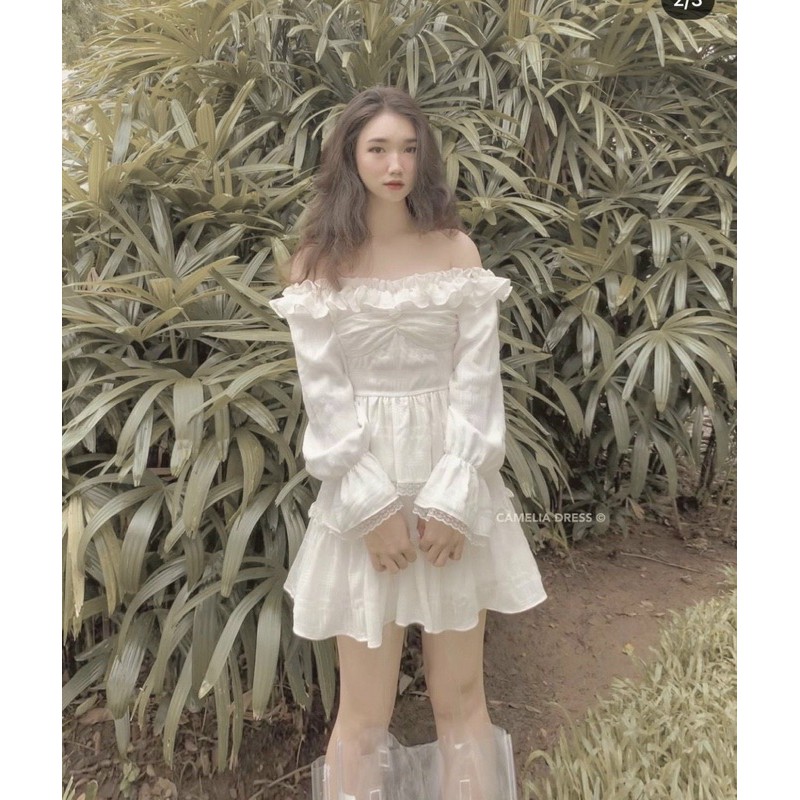 ĐẦM BÈO NHÍU NGỰC TRẮNG