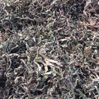 Snack bồ công anh