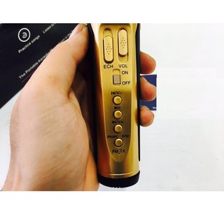 Míc Karaoke Micro Kiêm Loa Bluetooth SD-10 hãng