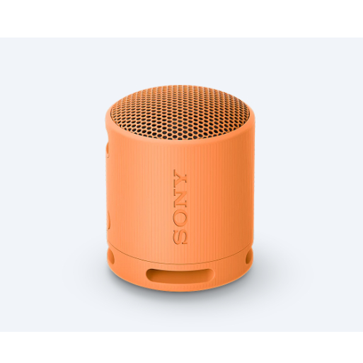 Loa Bluetooth Sony SRS-XB100 Extra Bass