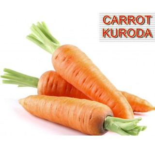 2gr hạt giống cà rốt kuroda