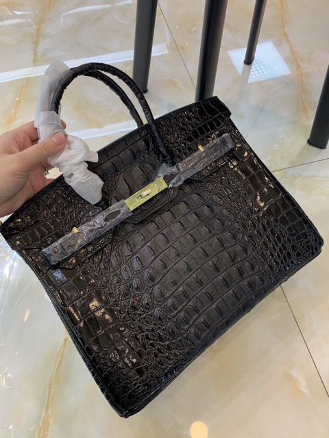 Tuí HN hếm DA CÁ SẤU