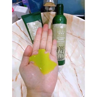 Bộ Gội Xả Kích Thích Mọc Tóc & Giảm Gãy Rụng WEILAIYA Gừng - Hà Thủ Ô 400ml