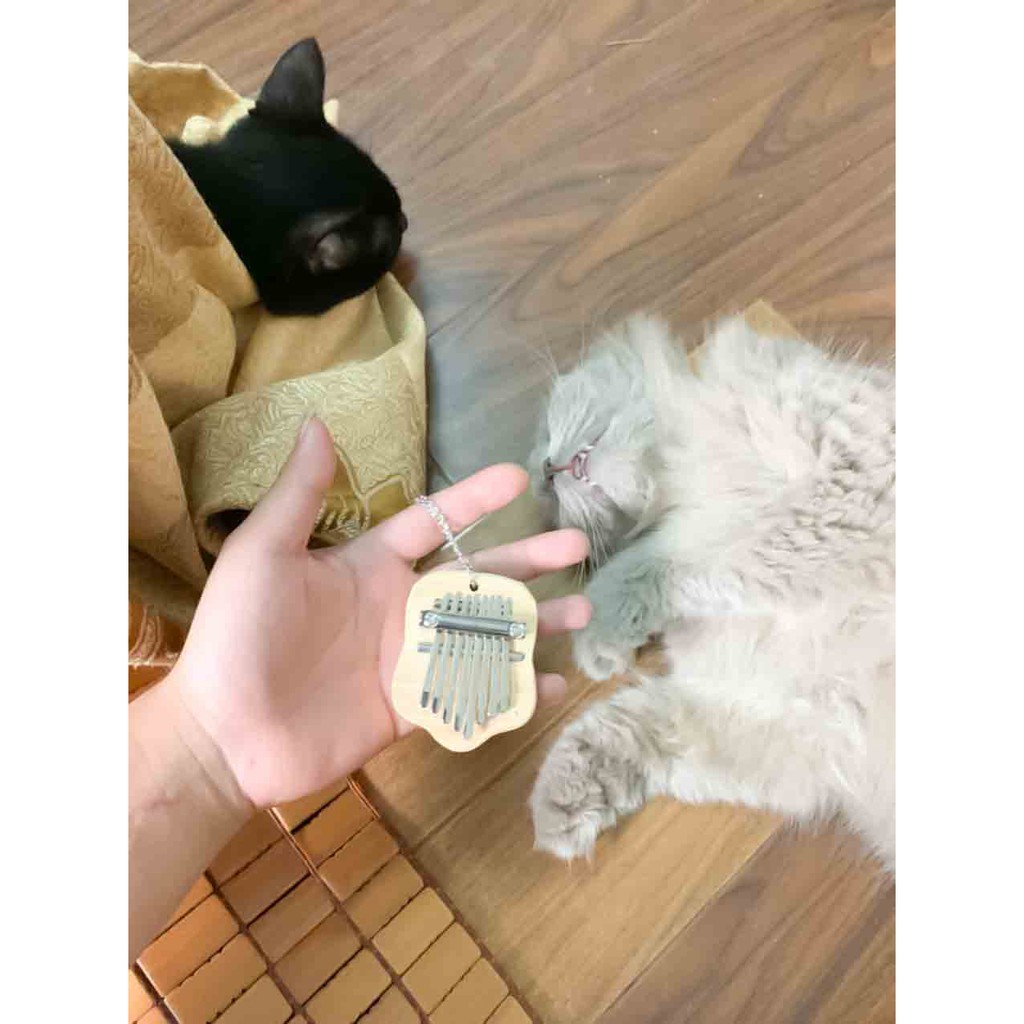 Kalimba Mini 8 Phím Siêu Mi Nhon, Làm Móc Khóa Và Chơi Được