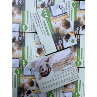 QUE TEST PARVO VÀ CARE DÙNG THỬ BỆNH TRÊN CHÓ MÈO