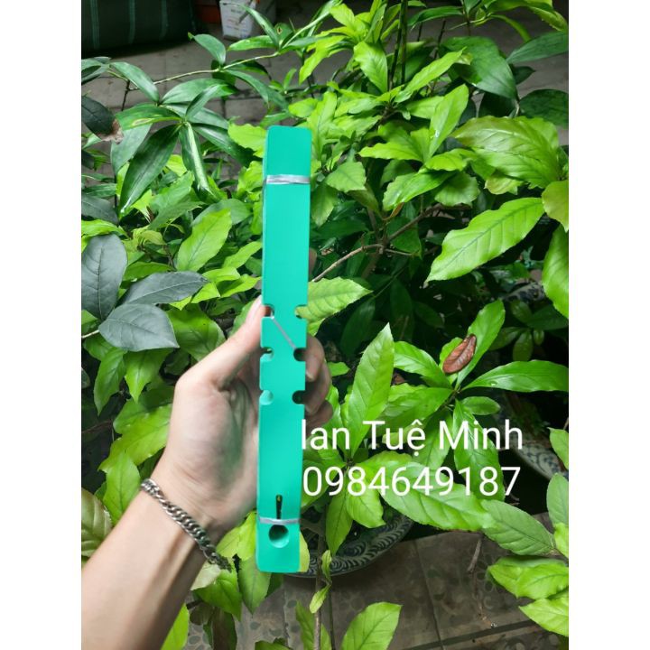 100 Thẻ nhiều màu dạng móc cài ghi tên cây cảnh, lan
