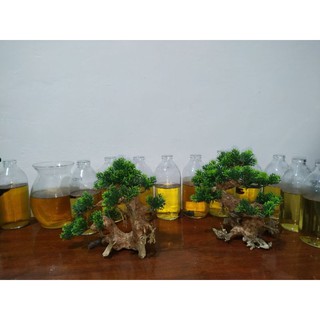 🌲 Gỗ Lũa Bonsai Trang Trí Thủy Sinh [Gỗ Lũa Thật Gắn Lá Nhựa]