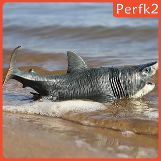 Mô hình cá mập Megalodon chân thật
