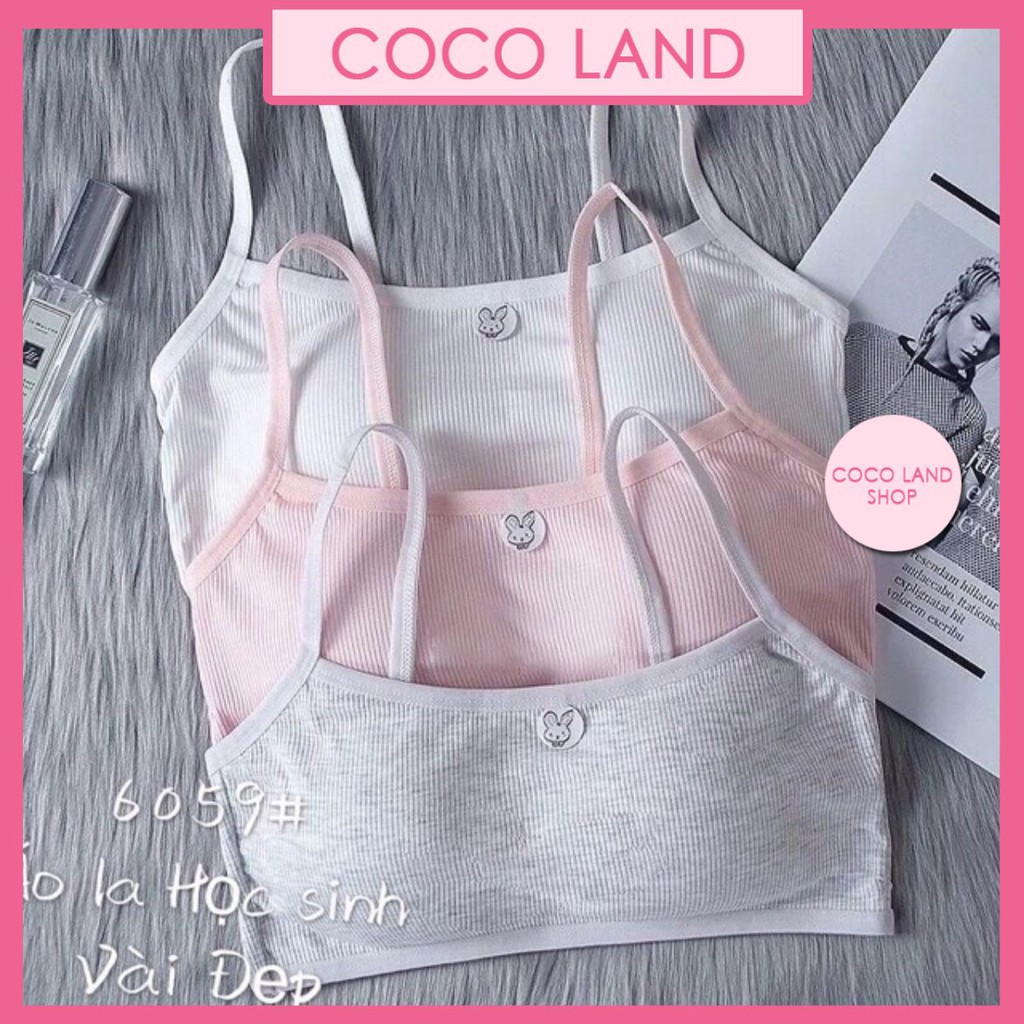 Áo Bra Học Sinh,Bé Gái Có Đệm Ngực | BigBuy360 - bigbuy360.vn