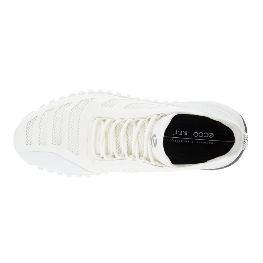 Giày Sneaker Nam Ecco Zipflex M 80378450696