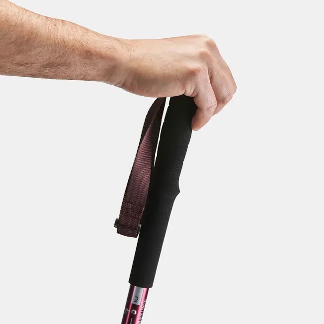 Gậy leo núi Arpenaz 200 - Đỏ tía MIRLIK DECA