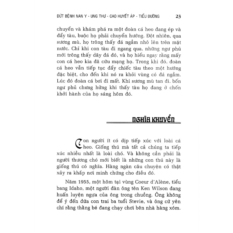 Sách - Dứt Bệnh Nan Y Ung Thư Cao Huyết Áp Tiểu Đường