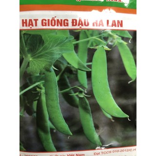 Hạt giống Đậu Hà Lan (50 gram) ☘️