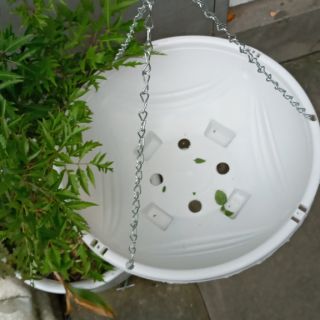 Sỉ 10 CHẬU to treo xích trồng hoa đường kính 28cm cao 12cm giá tốt