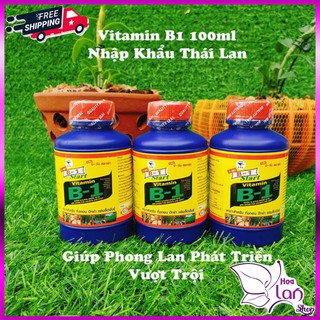 B1 Thái Lan ⚜️FREESHIP⚜️ Phân Bón Lá Cung Cấp Vitamin Cho Lan - Cây Cảnh 100ml [ Nhập Khẩu ]