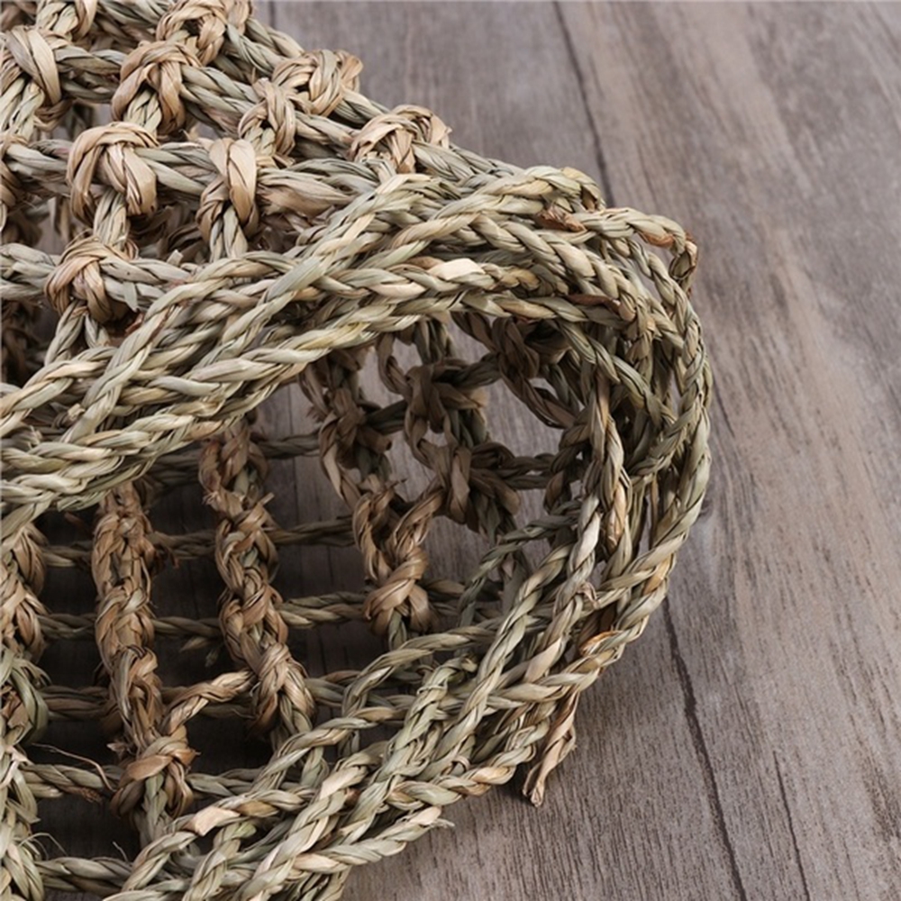 Võng nằm cho thú cưng bò sát