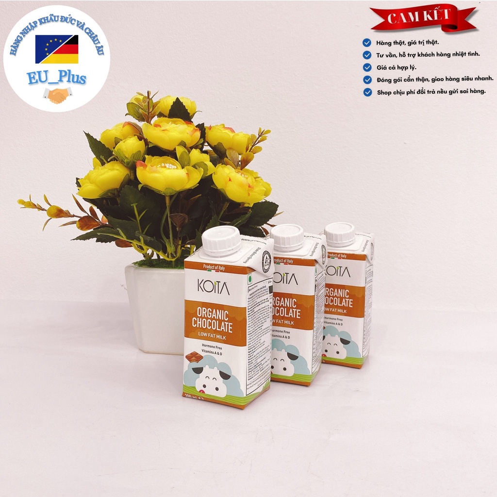 Sữa Koita 200ml Ý vị dâu, socola, nguyên kem không đường