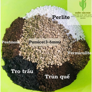 1KG Giá thể trồng sen đá xương rồng, cây mọng nước, cây cần độ thoáng cho rễ