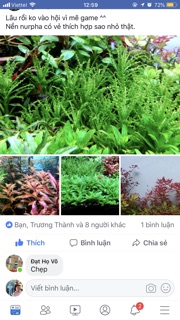 CỐT NỀN THUỶ SINH