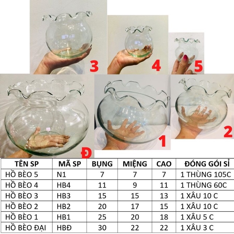 HỒ CÁ THỦY TINH, CHẬU TRỒNG CÂY ĐỂ BÀN PHONG THỦY